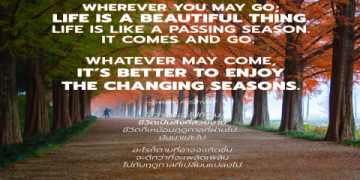 อยากเก่งภาษา คอร์สเรียนภาษาอังกฤษออนไลน์ฟรี2564 เรียนแบบเป็นขั้นตอนรอดูผลเร็ว