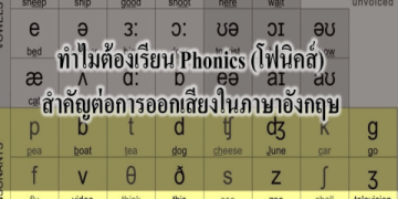 เริ่มต้นภาษาอังกฤษง่ายๆ เรียนยังไงให้พูดได้เร็ว พื้นฐานที่คนไทยต้องรู้