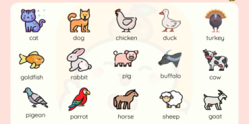 รวม เทคนิค เรียน คํา ศัพท์ อังกฤษ อย่าง มี ประสิทธิภาพ ใน เวลา สั้น