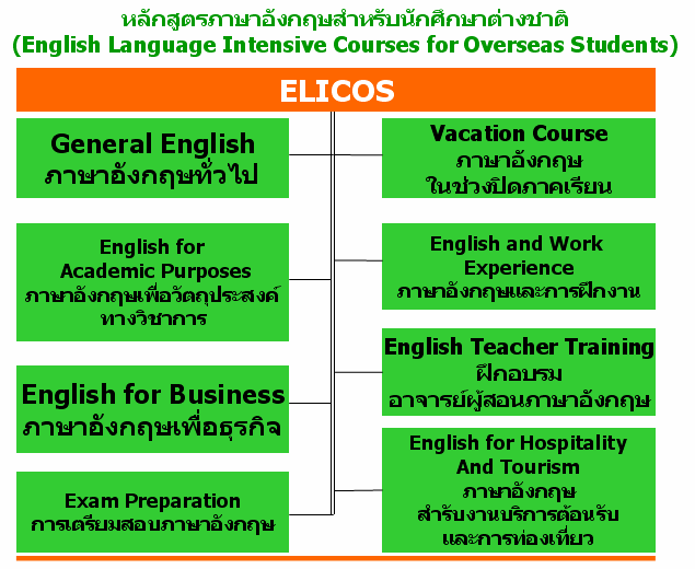 วิชาเรียนเป็นภาษาอังกฤษเลือกยังไงดี หลักสูตรภาษาอังกฤษที่ควรลงทะเบียนเรียน