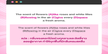 แกรมมาร์อังกฤษเบื้องต้นมีอะไรบ้าง แก้จุดผิดพลาดที่พบบ่อย