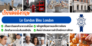 ไม่ต้องเสียเงิน! เรียนภาษาอังกฤษฟรีและรับใบรับรองมาตรฐานที่น่าเชื่อถือ